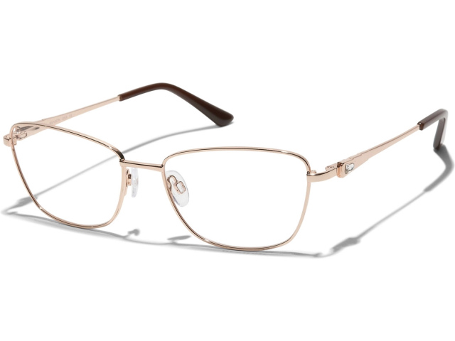 Revlon 2010 11 55/17