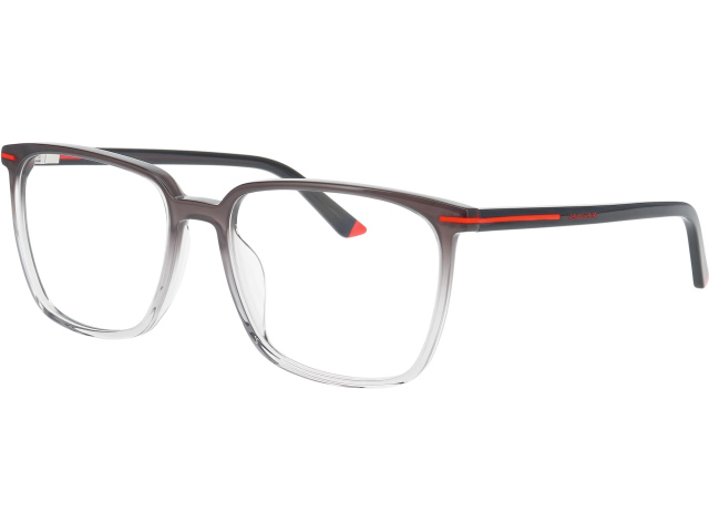 Jaguar 31532 6545 55/17