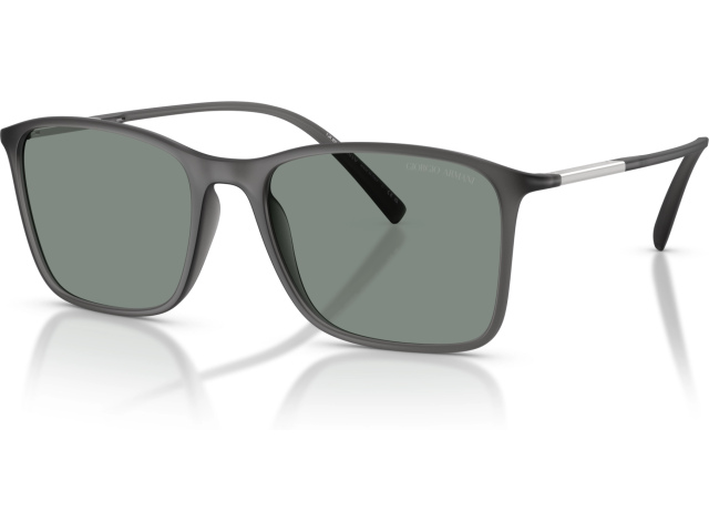 Giorgio Armani AR8231U 6416/1 Grey