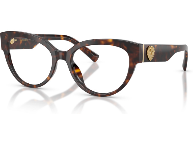 Dolce & Gabbana DG3440 502 Tortoise