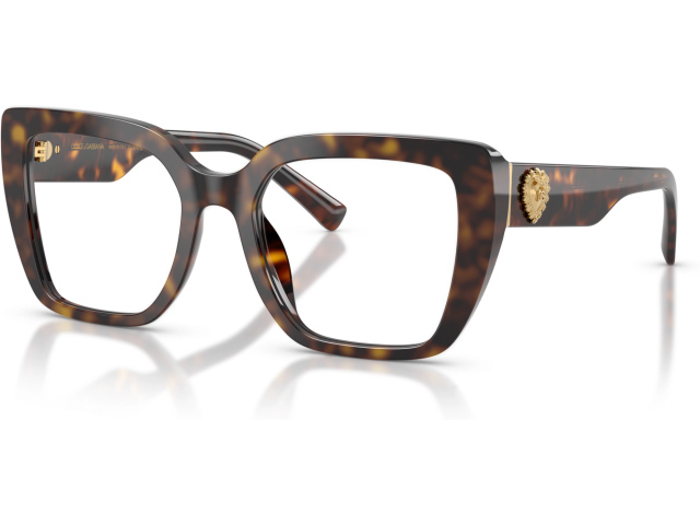 Dolce & Gabbana DG3441 502 Tortoise