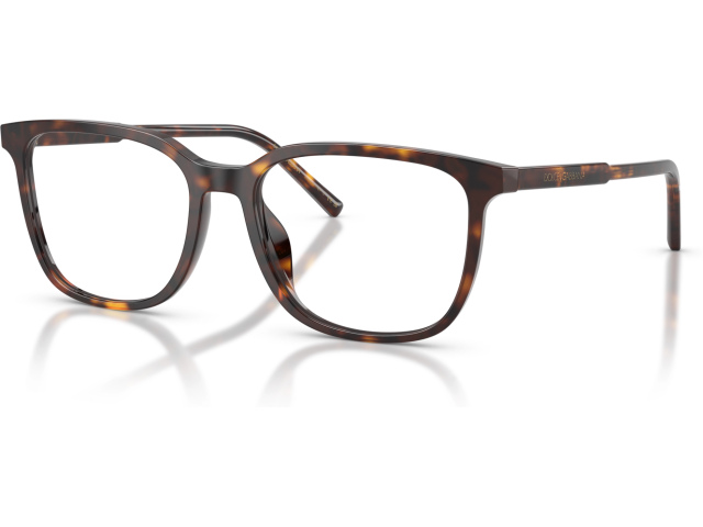 Dolce & Gabbana DG3445 502 Tortoise