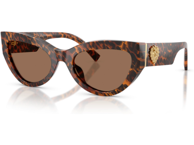 Dolce & Gabbana DG4536 347073 Brown