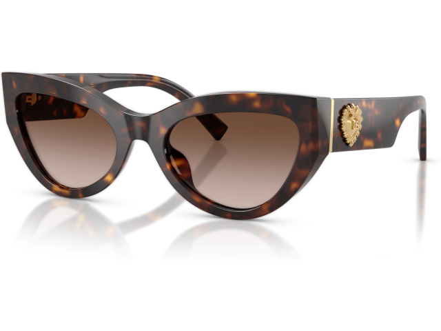 Dolce & Gabbana DG4536 502/13 Tortoise