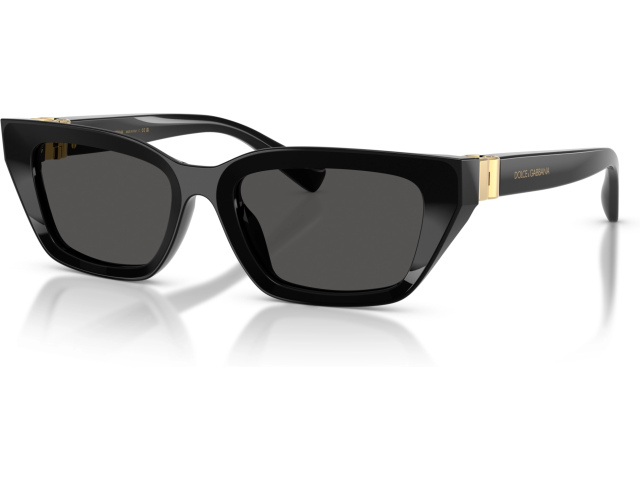 Dolce & Gabbana DG4532 501/87 Black
