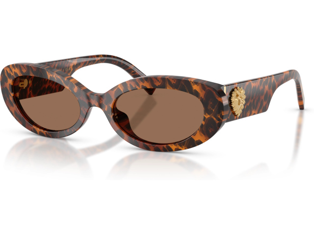 Dolce & Gabbana DG4537 347073 Brown