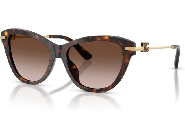 Dolce & Gabbana DG4534 502/13 Tortoise