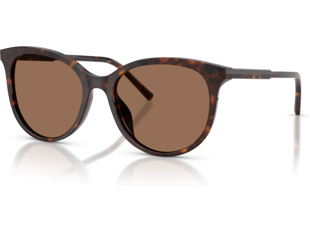Dolce & Gabbana DG4540 502/13 Tortoise