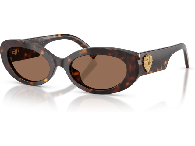 Dolce & Gabbana DG4537 502/73 Tortoise