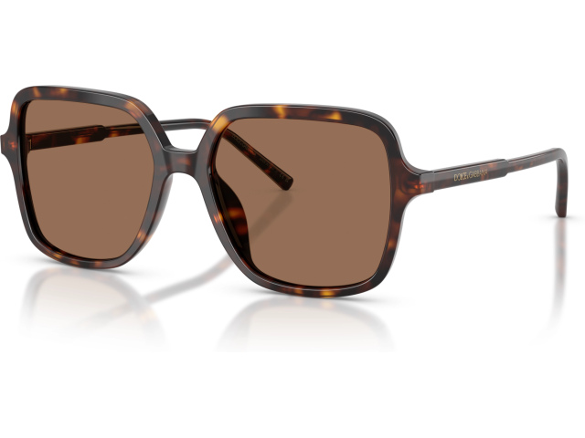 Dolce & Gabbana DG4539 502/73 Tortoise
