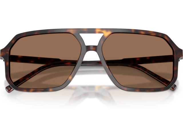 Dolce & Gabbana DG4541 502/73 Tortoise