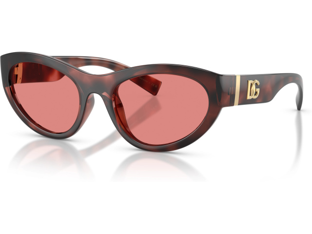 Dolce & Gabbana DG6207 347684 Tortoise