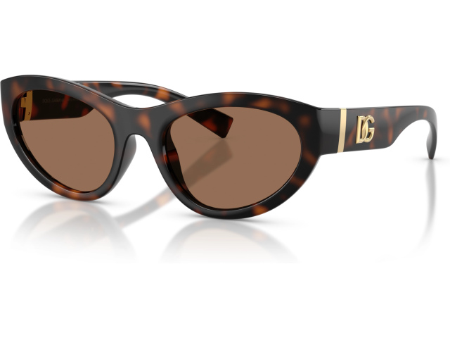 Dolce & Gabbana DG6207 502/73 Tortoise