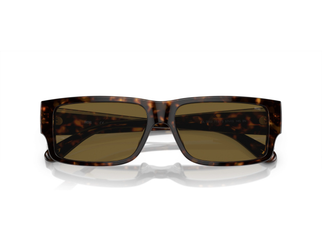 Diesel DL2003 713/73 Tortoise