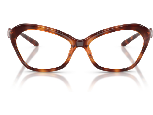 Diesel DL6003U 2003 Tortoise