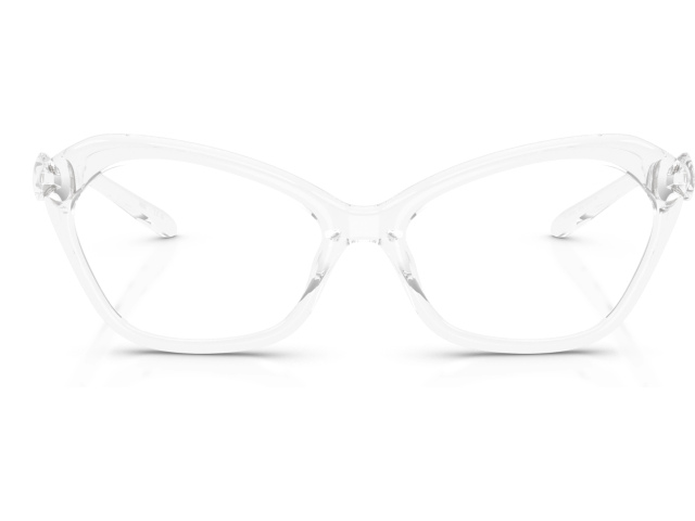 Diesel DL6003U 2005 Transparent