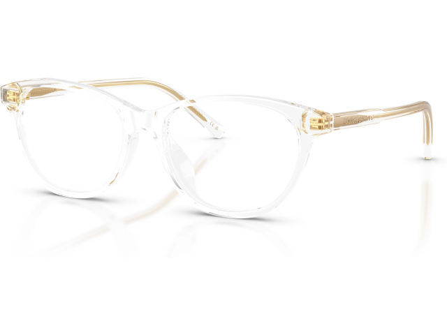 Dolce & Gabbana DX3002 3133 Transparent