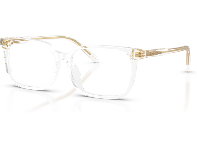 Dolce & Gabbana DX3003 3133 Transparent