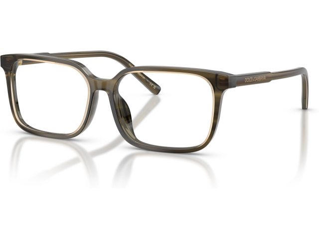 Dolce & Gabbana DX3003 3480 Green