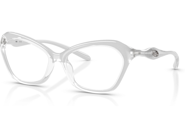 Diesel DL6003U 2029 Silver