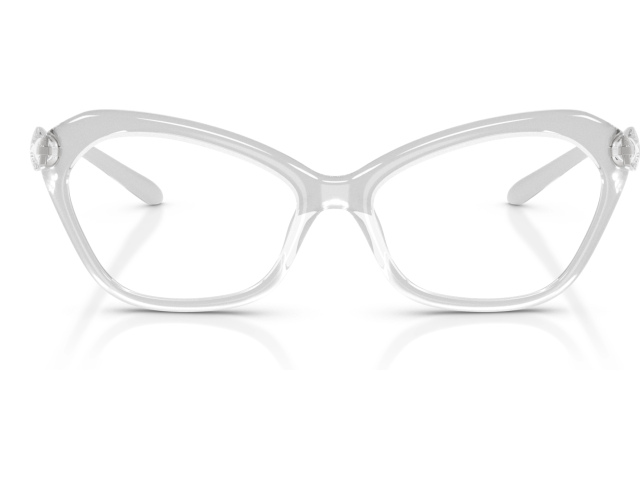 Diesel DL6003U 2029 Silver