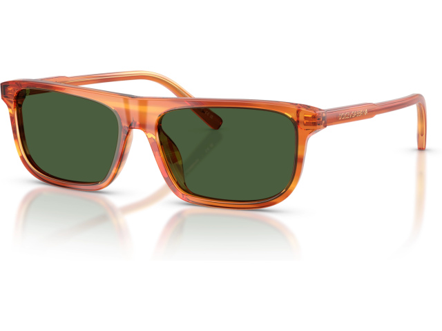 Dolce & Gabbana DX4009 348371 Brown