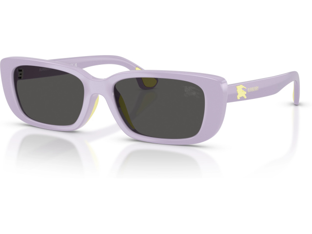 Burberry JB4006U 422887 Violet