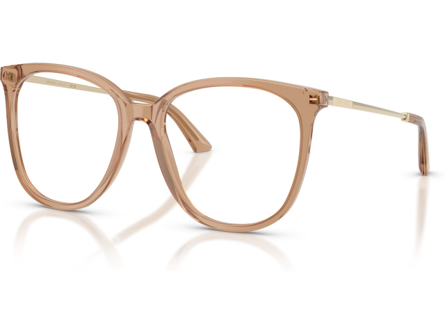 Jimmy Choo JC3060 5076 Brown