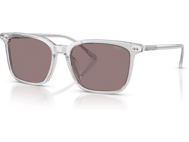 Polo PH4194U 59587N Grey