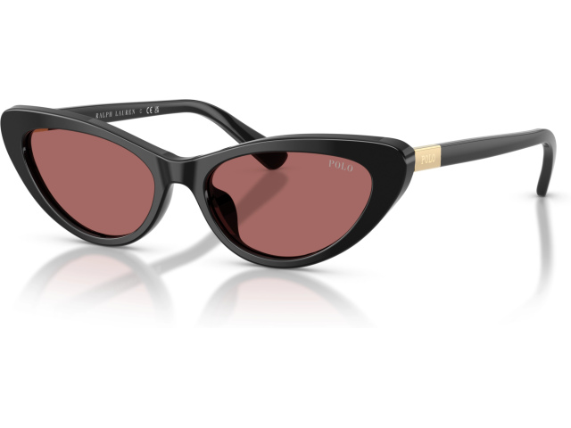 Polo PH4199U 500169 Black