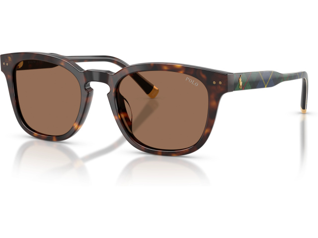 Polo PH4242U 562573 Tortoise