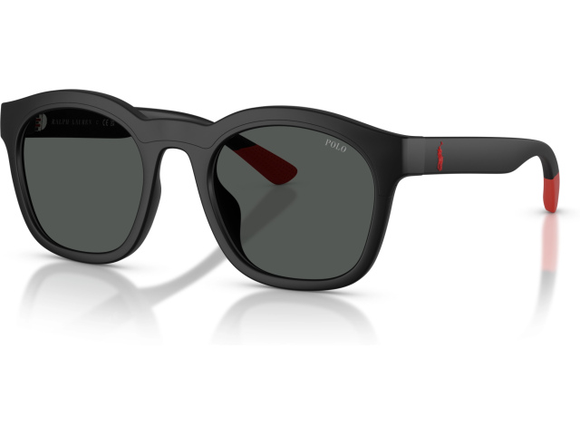 Polo PH4243U 553487 Black