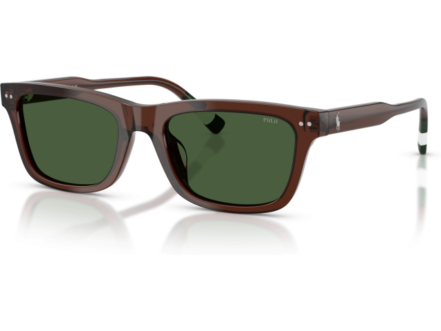 Polo PH4240U 631571 Brown