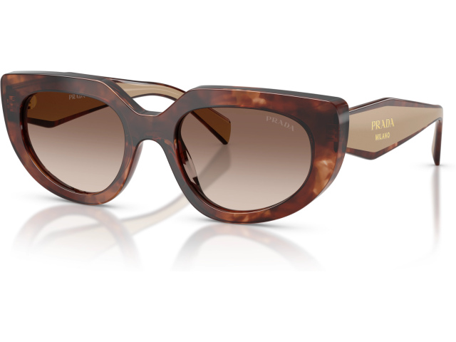 Prada PR D02S 00K10S Tortoise