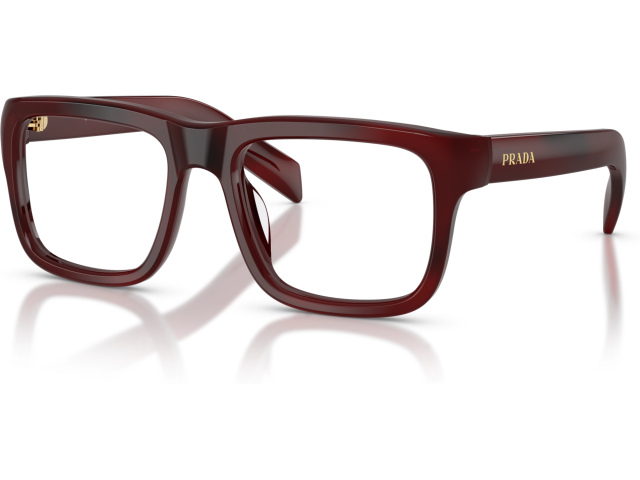 Prada PR D02V 25J1O1 Tortoise