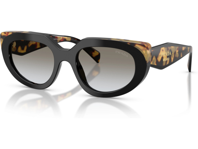 Prada PR D02S 0CD80L Black