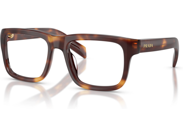 Prada PR D02V 15W1O1 Tortoise