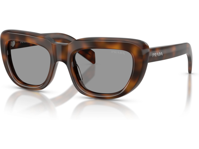 Prada PR D07S 20D50Q Tortoise
