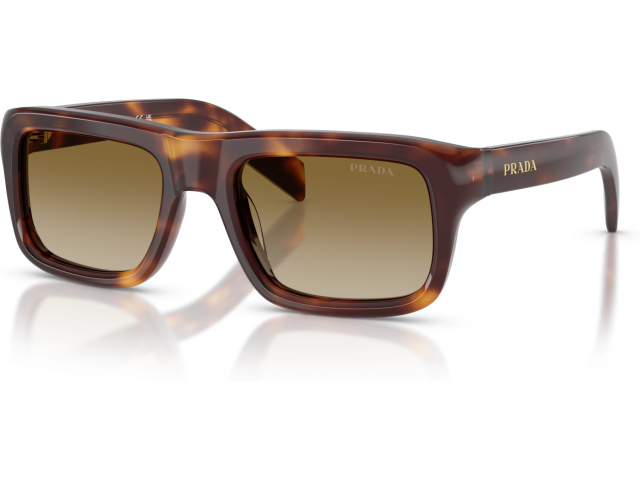 Prada PR D11S 15W20U Tortoise