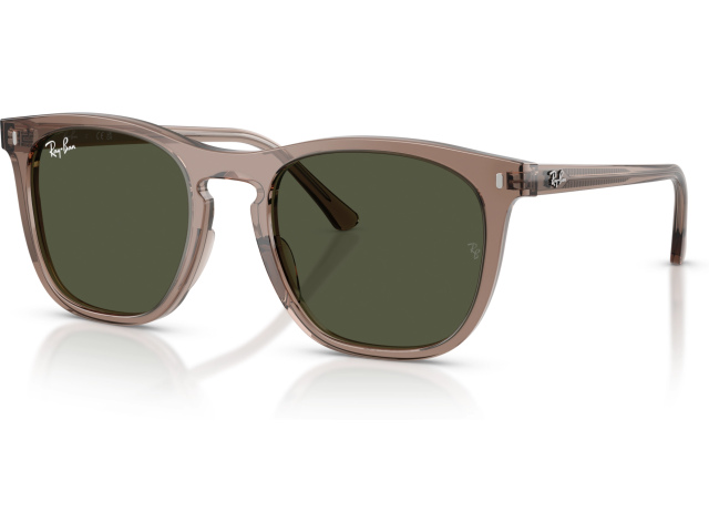Ray-Ban RB2210 845731 Brown