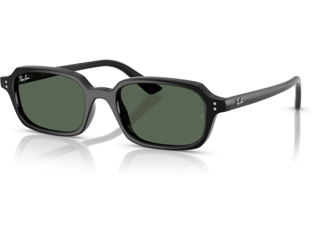 Ray-Ban ZURI RB4455 667771 Black