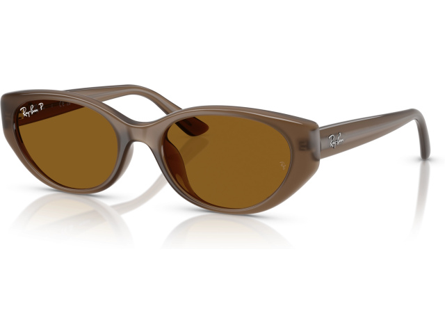 Ray-Ban RB4457D 677983 Brown
