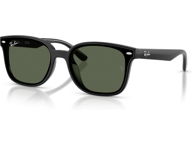 Ray-Ban RB4461D 601/71 Black