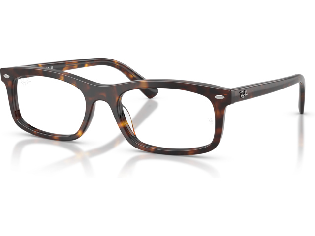 Ray-Ban RX5450 2012 Tortoise