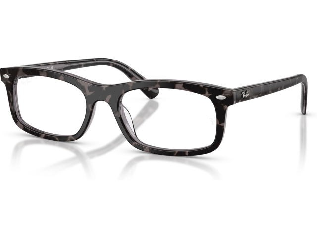 Ray-Ban RX5450 8483 Tortoise