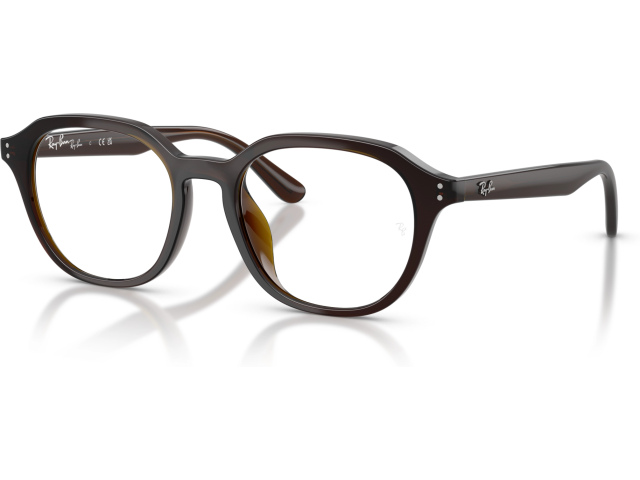 Ray-Ban RX7259D 8502 Brown