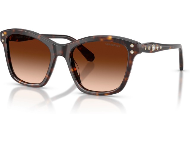 Swarovski SK6063 100274 Tortoise