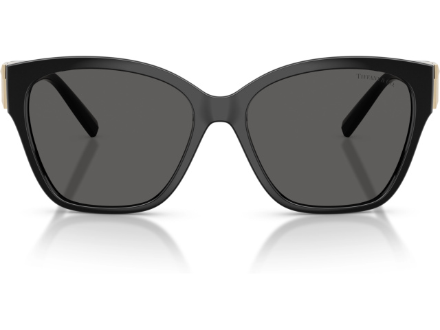 Tiffany TF4254U 8001S4 Black