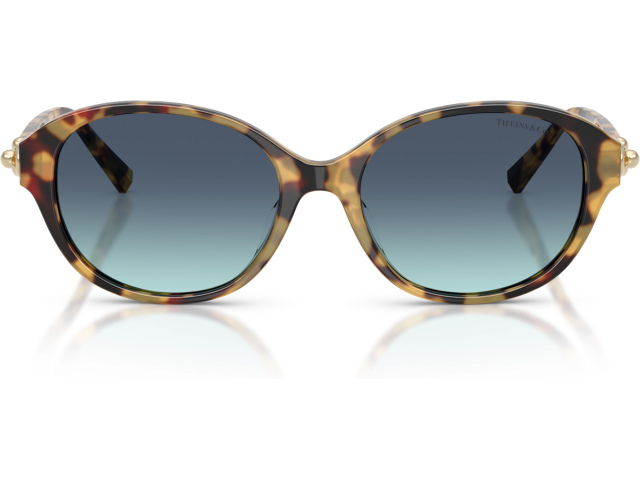 Tiffany TF4263D 80649S Tortoise