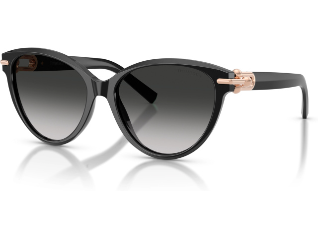 Tiffany TF4261 80013C Black